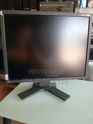 Eizo Flexscan S2100 Monitor 21.3 Inches