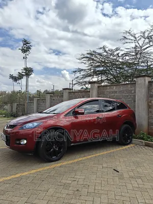 Mazda AZ 2009 Maroon