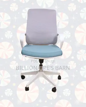 Ergonomic Work Chair for Home and Office —Stable-Lower-Back Support