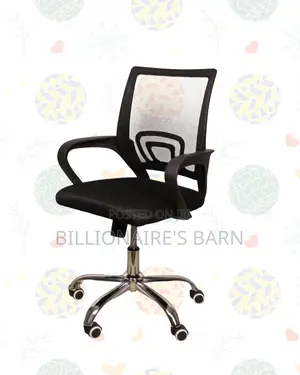 Ergonomic Mesh Office Chair•Professional Look, Lumbar Support Built-In