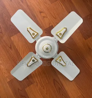 Roch 24 Inches Ceiling Fan