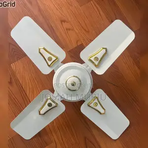 24-Inch Roch Ceiling Fan With a White and Gold Finish.