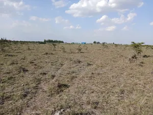 Prime Plots for Sale Off Kiserian-Isinya Highway