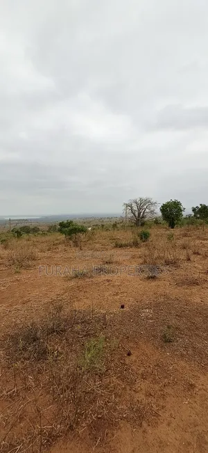 For Sale 3 Acres Prime Land Bonje Mazeras