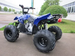 Youth 110cc/125cc Atv Quad Bike – Safe Fun Ride