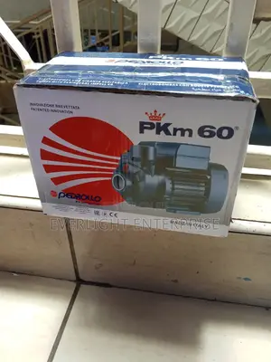 Pkm60 Pedrollo Water Pump