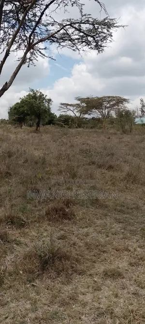 2 Acres of Land in Kiserian