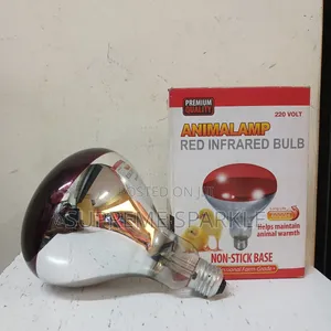 Red Infrared Bulb 220volt