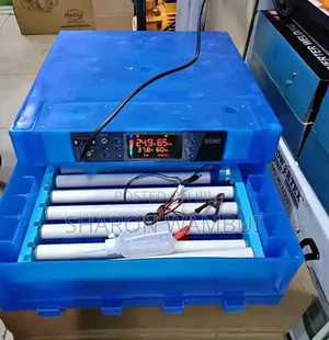 New Quality 64egg Incubator/64 Egg Incubator