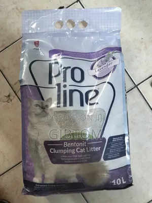 10 L Clumping Cat Litter