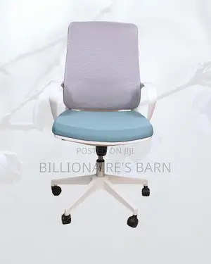 White Mid-Back Mesh Chair | Adjustable for Different Desk Heights |