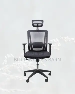 Black Ergonomic Mesh Chair | Adjustable for Different Desk Heights |