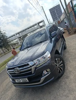 Toyota Land Cruiser 2010 Gray