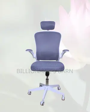 White Ergonomic Mesh Chair | Adjustable for Different Desk Heights |