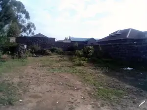 Mzee Wanyama Plot for Sale