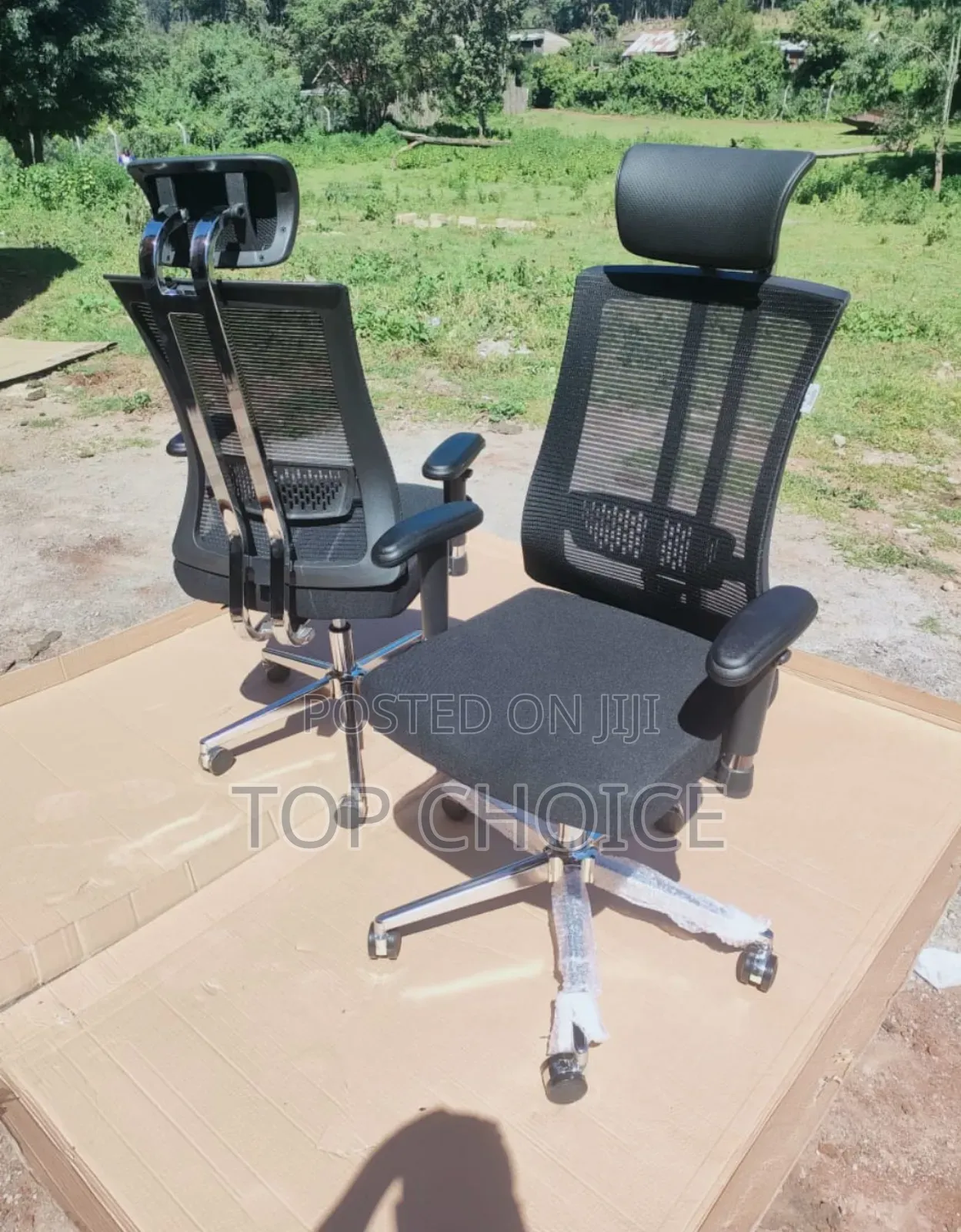 Ergonomic Orthopedic Office Chairs
