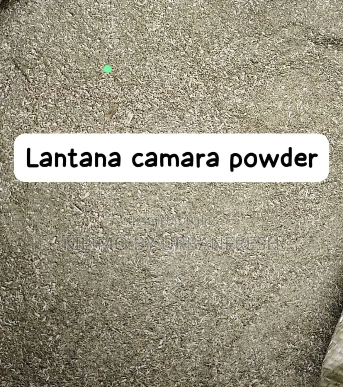 Lantana Camara Powder. 1 Kg