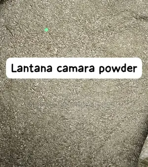 Lantana Camara Powder. 1 Kg