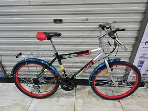 Victory Mountain Bicycle Size 24 Perfect for Kid's and Teens