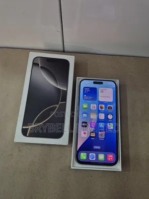 Apple iPhone 16 Pro Max 256 GB Gray