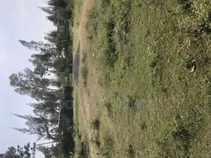 0.06ha Land for Sale in Korando Kisumu