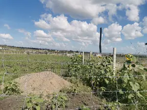 Half Acre NSSF Plots Sabaki on the Top Behind Signature Mall