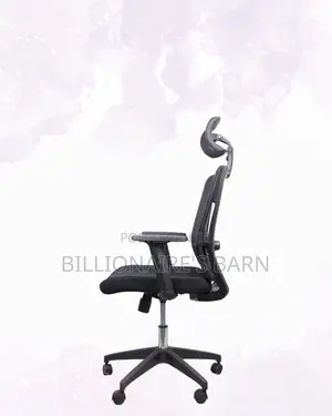 Ergonomic Work Chair for Home and Office | Executive , Cool Backrest