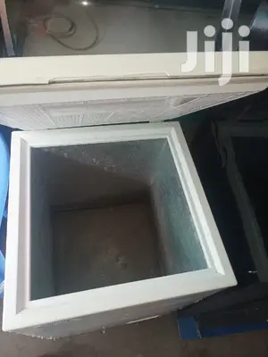Mini Deep Freezer
