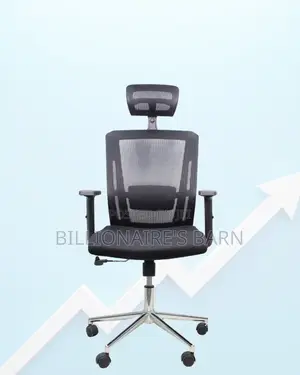 Headrest Office Chair for Long Workdays | Chrome Base Stability