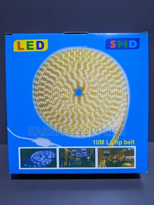 10m Led Snake Lights
