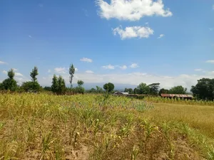 One Acre Behind Air Stip
