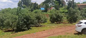 225 Acres on Sale at Thika Near Delmonte