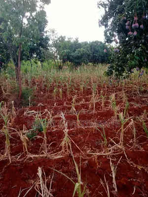 4 Acres of Land on Sale at Makuyu-Murang'A