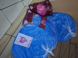 Blue Hospital Mosquito Net