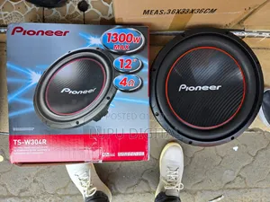 Pioneer 12 Inch Tsw304