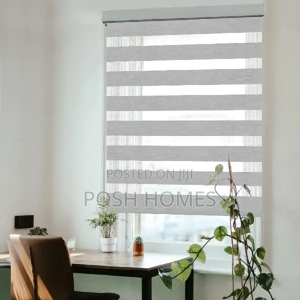 Dual Action Window Blinds Sheer