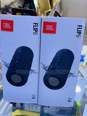 JBL Flip 6 Wireless Bt Speaker