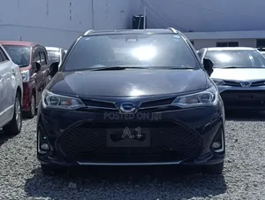Toyota Corolla Fielder 2019 Black