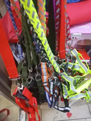 Dog Leash Medium