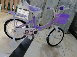 Lady Bike Size 16 Purple With Support Wheels