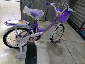 Size 16 Lady Bike