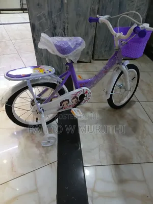 Size 16 Lady Bike