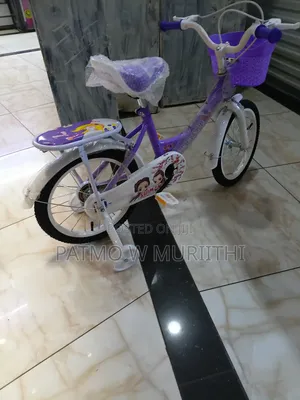 Size 16 Lady Bike
