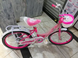 Lady Bike Size 20