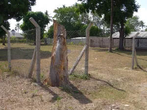 Prime Plots for Sale - Mtwapa