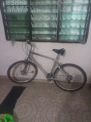 Giant Aluminum Bycicle.