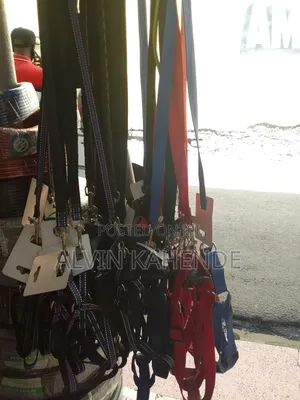 Dog Leash and Collar