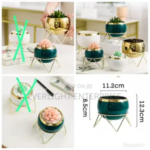New Creative Nordic Succulent Plant