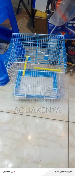 Budgies and Lovebirds Cages,Cages