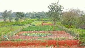 50x100 Plots For Sale In Ruiru